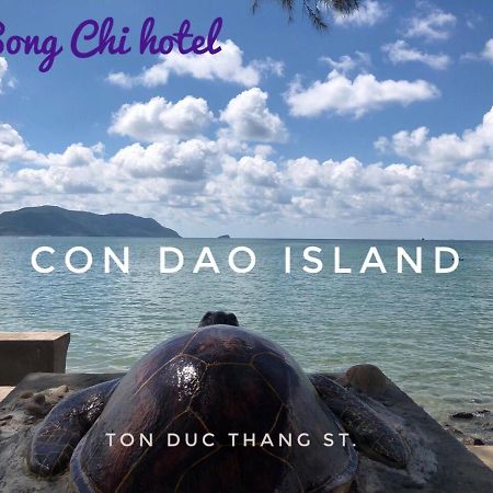 Q Songchi Hotel Chi Khu Co Ong Zewnętrze zdjęcie